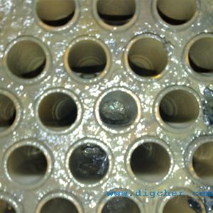 �켈�S�A����܇�g���l(f��)����ϴ�C(j��)-��Ч�L(zh��ng)����Ĥ���l(f��)���ܵ���ϴ�C(j��)